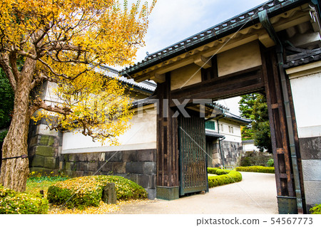 東京皇宮平川門Korai門和黃色葉子槭樹 54567773