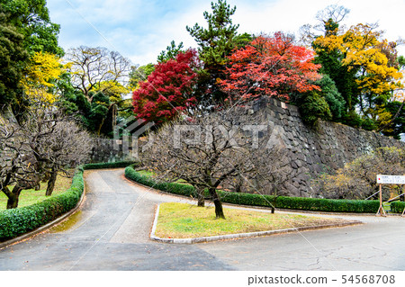 Tokyo Imperial Palace Higashi Gyoen Autumn leaves Umebayashizaka 54568708