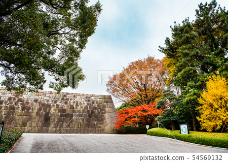 東京皇宮Higashi Gyoen Tenshudai和秋葉 54569132