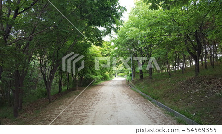 Path to Sunam Temple Path to Sunam Temple 54569355