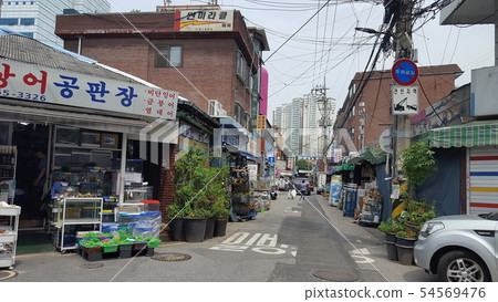 一條舊載人的車道 54569476