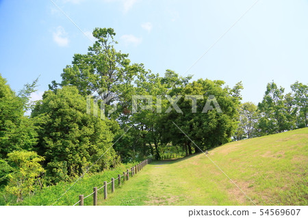 初夏公園 初夏公園 54569607