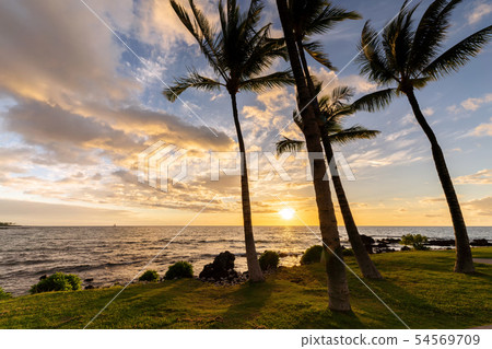 Puako Bay evening view Puako Bay evening view 54569709