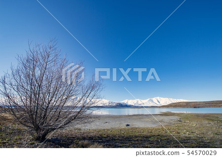 lake tekapo, new zealand, oceania 54570029