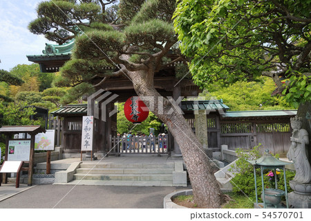 Hasedera_靈巖元年_鎌倉 54570701