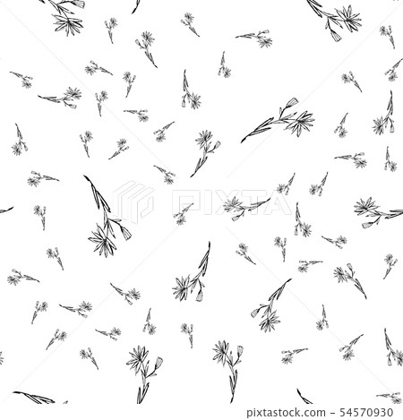 Seamless pattern with wildflowers on white 54570930