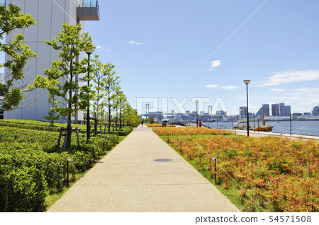 Toyosu Gugururi公園 Toyosu Gugururi公園 54571508