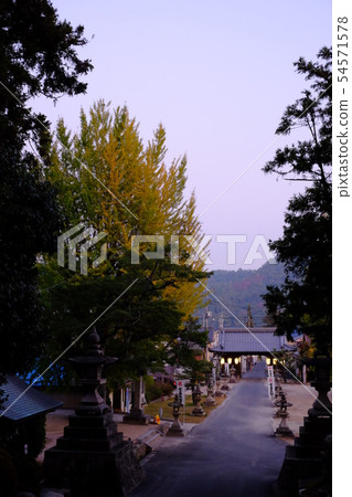廣島縣Yoshibito神社的1號門 廣島縣Yoshibito神社的1號門 54571578