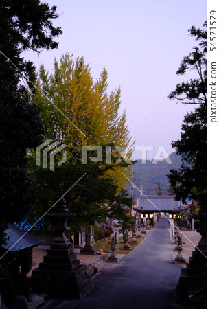 廣島縣Yoshibito神社的2號門 廣島縣Yoshibito神社的2號門 54571579