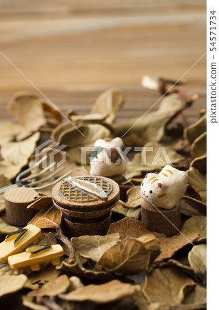 Fall image Fall image 54571734