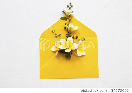 yellow flowers frangipani arrangement in envelope 54572092