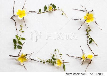 yellow flowers frangipani local flora of asia 54572093
