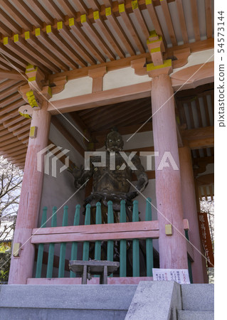 [Nara Prefecture] Osaka Temple Sakura Spring 54573144