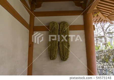 [奈良縣]大阪寺櫻花泉 54573148