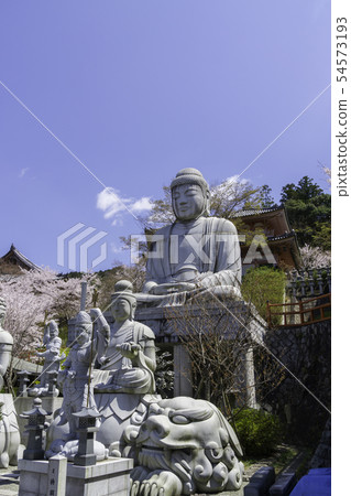 [奈良縣]大阪寺櫻花泉 54573193