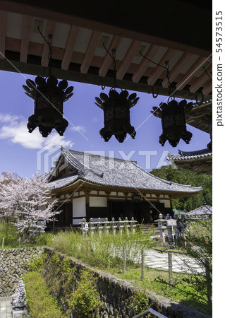 [Nara Prefecture] Osaka Temple Sakura Spring 54573515