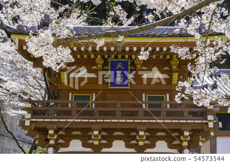 [奈良縣]大阪寺櫻花泉 54573544