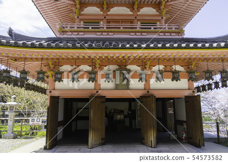 [奈良縣]大阪寺櫻花泉 54573582