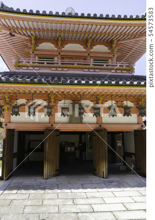 [Nara Prefecture] Osaka Temple Sakura Spring 54573583