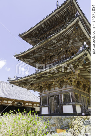 [奈良縣]大阪寺櫻花泉 54573854