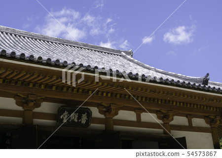 [奈良縣]大阪寺櫻花泉 54573867