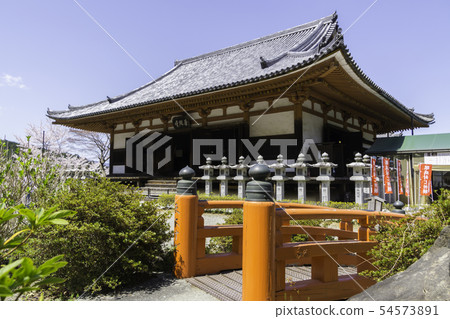 [Nara Prefecture] Osaka Temple Sakura Spring 54573891