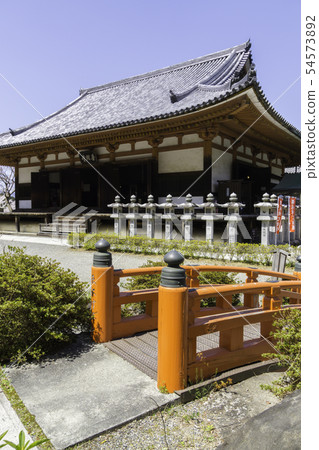 [Nara Prefecture] Osaka Temple Sakura Spring 54573892