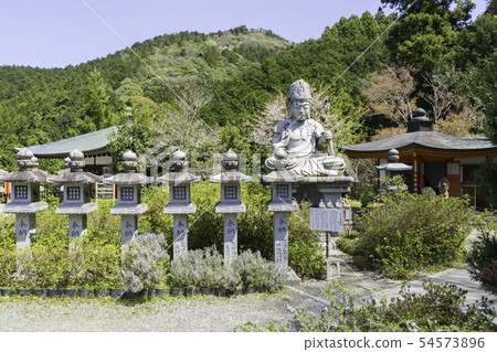 [奈良縣]大阪寺櫻花泉 54573896