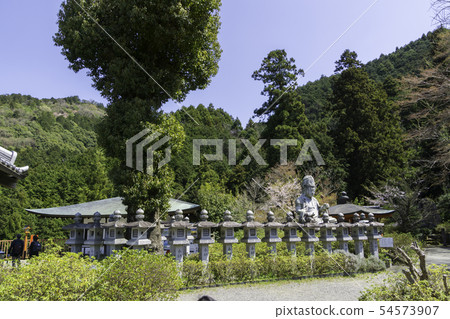 [Nara Prefecture] Osaka Temple Sakura Spring 54573907