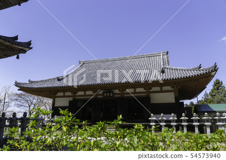 [Nara Prefecture] Osaka Temple Sakura Spring 54573940