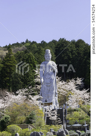 [Nara Prefecture] Osaka Temple Sakura Spring 54574254