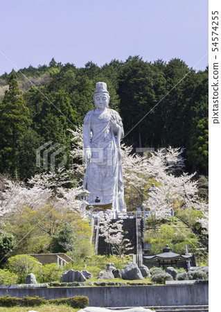 [奈良縣]大阪寺櫻花泉 54574255
