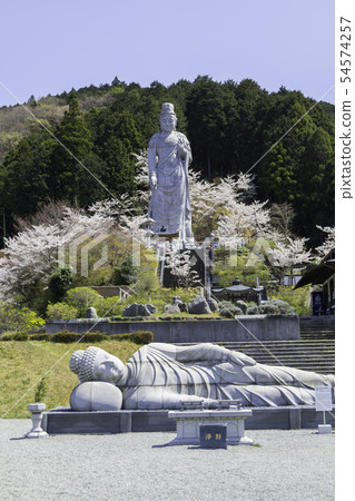 [Nara Prefecture] Osaka Temple Sakura Spring 54574257