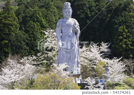 [奈良縣]大阪寺櫻花泉 54574261