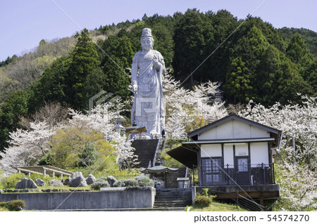 [奈良縣]大阪寺櫻花泉 54574270