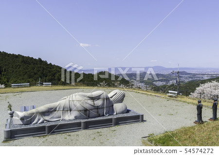 [奈良縣]大阪寺櫻花泉 54574272