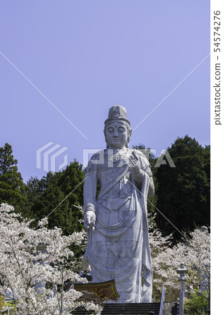 [Nara Prefecture] Osaka Temple Sakura Spring 54574276