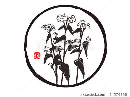 Buckwheat noodles 54574566