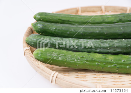 黃瓜 54575564