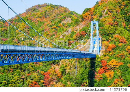 Ryushin Dai Suspension Bridge-Autumn 54575796