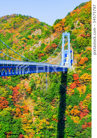 Ryushin Dai Suspension Bridge-Autumn 54575797