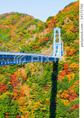 Ryushin Dai吊橋 - 秋天 Ryushin Dai吊橋 - 秋天 54575798
