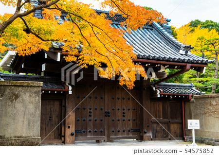 Tokyo Imperial Palace Arid Street of Autumn Leaves Station Gate and Momiji 54575852