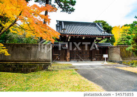 Tokyo Imperial Palace Arid Street of Autumn Leaves Station Gate and Momiji 54575855