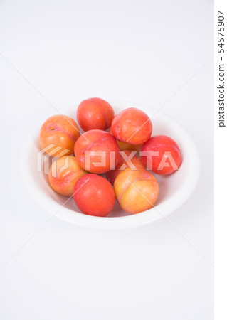 李子 李子 54575907