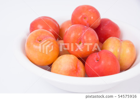 李子 李子 54575916