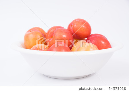 李子 李子 54575918