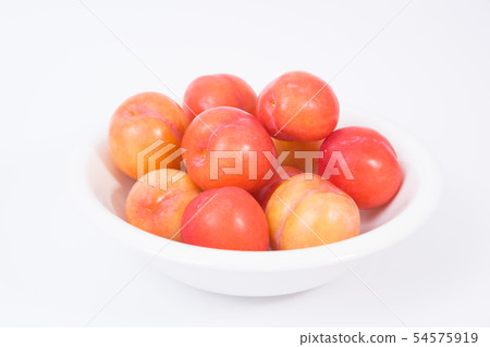 李子 李子 54575919