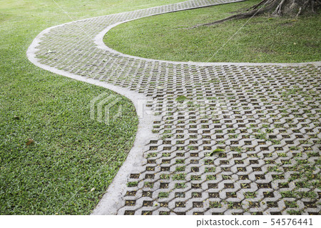 Lovely garden with footpath in summer Lovely garden with footpath in summer 54576441