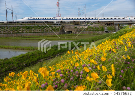 Tokaido Shinkansen and Okinkei Giku Tokaido Shinkansen and Okinkei Giku 54576682